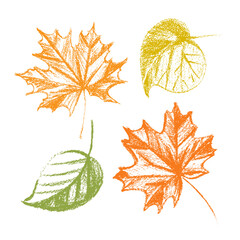 delightful collection of four artistic autumn leaves that are perfect for all your fall season theme