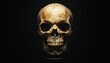 © kinara art design - A detailed human skull against a dark background, showcasing its structure and features.