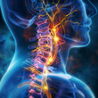 © Liudmila - Pinched nerve in the cervical spine. pain radiating. Nerve pathway. Human anatomy.