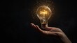© kinara art design - A hand holds a glowing light bulb, symbolizing ideas and creativity against a dark background.