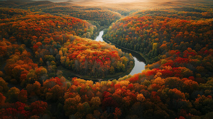 An aerial view of a forest during peak fall, a stunning mosaic of reds, oranges, yellows, and greens as the trees blend together. The view captures the rolling hills, valleys, and a river. 