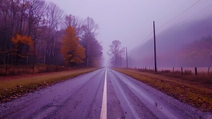 Canvas Print - autumn foggy morning 