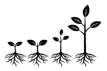 Wall Mural - seedling growth stages vector illustration