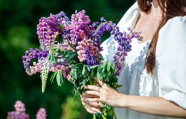 Poster - A girl touches Lupine flowers in the park with her hands