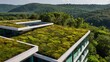 © Saad - Green roofs on modern building in lush environment