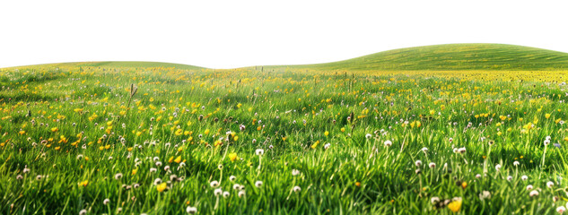 Poster - PNG Hilly spring fields countryside vegetation grassland.