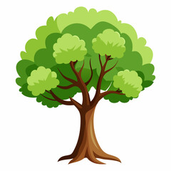 Beautiful tree Realistic on a white background.