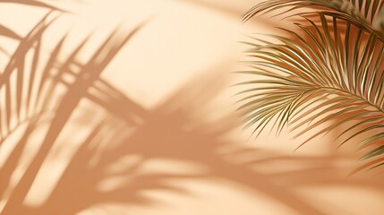 Wall Mural - Shadow from palm leaves on light pink wall. Abstract background for your product presentation. Spring or summer.