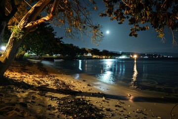 Wall Mural - a full moon shines over a beach at night