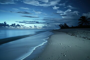 a beach at night with footprints in the sand