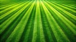 © Musarrof - Striped perspective on green grass pattern