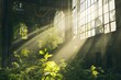 © JK_kyoto - A sunlit, abandoned industrial space overtaken by lush green plants, showcasing nature reclaiming its territory.