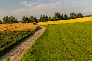 Sticker - Fields near Letohrad, Czech Republic