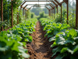 © Passion - A row of green plants are growing in a greenhouse