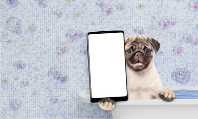 Leinwandbilder - Funny Pug puppy wearing shower cap takes the bath shows big smartphone with white blank screen in it paw. Empty space for text