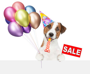 Wall Mural - Funny jack russell terrier puppy wearing party cap holding balloons, blowing in party horn and looking above blank white banner and showing signboard with labeled 