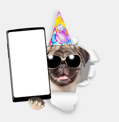 Aufkleber - Cute Pug puppy wearing party cap holds big smartphone with white blank screen in it paw, showing close to camera through torn white paper hole. Empty free space for mock up, banner