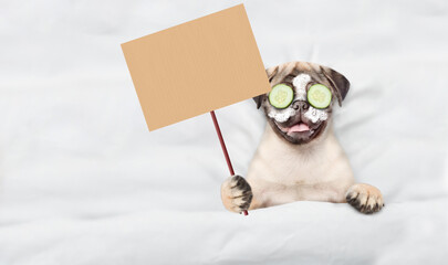 Fototapete - Funny Pug puppy with pieces of cucumber on it eyes relaxing on the bed at home and showing empty list. Top down view. Empty space for text