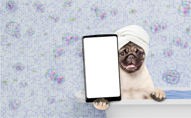 Leinwandbilder - Funny Pug puppy wrapped with towel takes the bath shows big smartphone with white blank screen in it paw. Empty space for text