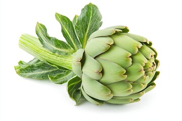 Wall Mural - A fresh artichoke with green leaves, showcasing its unique shape and texture.