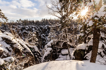 Sticker - Winter view of snow covered Prachovske skaly rocks in Cesky raj (Czech Paradise) region, Czech Republic