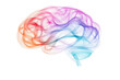 © t.sableaux - Human brain made of abstract lines of different colors isolated on transparent background PNG, concept of neurodiversity and mental problems