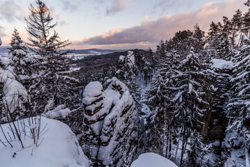 Wall Mural - Winter view of snow covered Prachovske skaly rocks in Cesky raj (Czech Paradise) region, Czech Republic