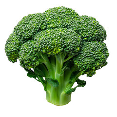 Wall Mural - broccoli png. broccoli vegetable top view png. green broccoli flat lay isolated