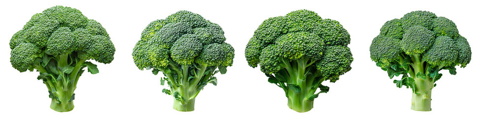 Wall Mural - broccoli set png. set of broccoli vegetable png. broccoli png. broccoli vegetable top view png. green broccoli flat lay isolated