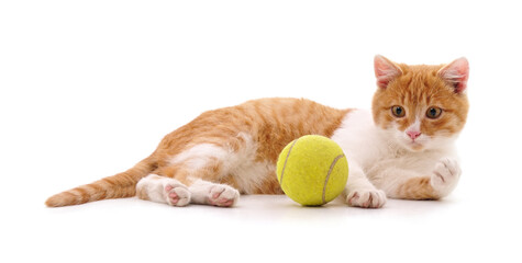 Canvas Print - Cat and ball.