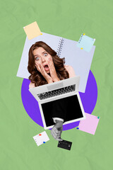 Poster - Vertical photo collage of astonished girl sticker workload memo hand peek laptop screen hold credit card isolated on painted background