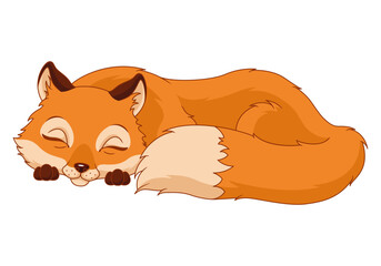 Sleeping fox cartoon vector illustration