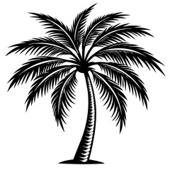 Poster - coconut tree vector silhouette 