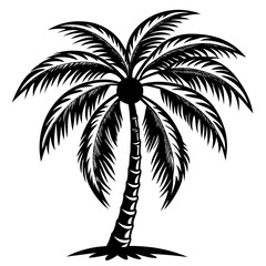 Poster - coconut tree vector silhouette 