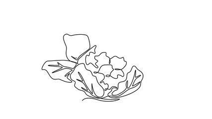 Wall Mural - Animated self drawing of continuous line draw whole healthy organic cauliflower for harvesting season logo identity. Fresh brassica oleracea concept for vegetable icon. Full length one line animation