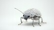 © Neuropixel - Mealybug insect on a pure white background -. A close-up shot of a white and black spotted beetle on a cle