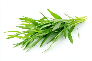 Wall Mural - A fresh bunch of green tarragon leaves on a white background.