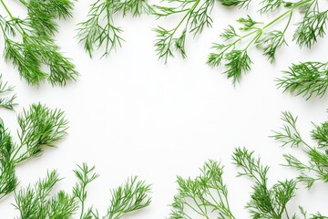 Wall Mural - Fresh green herbs arranged around a blank space for design or culinary use.