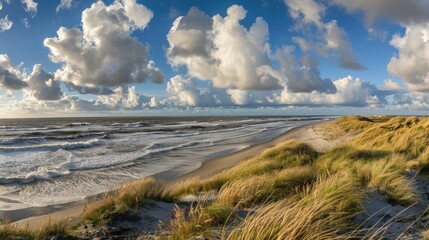 Wall Mural - A beach with a cloudy sky and a few people walking on the sand