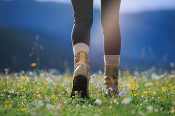 Wall Mural - Hiker legs in leather boots walking on beautiful flowering grassland