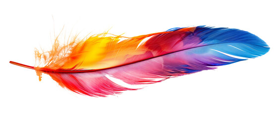 Wall Mural - Rainbow Colorful bird feather laying down