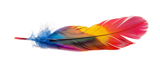 Wall Mural - Rainbow Colorful bird feather laying down