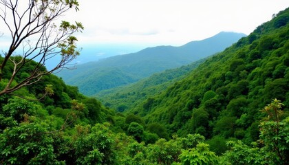 Poster - Vibrant mountain landscape lush greenery and clear skies