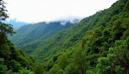 Sticker - Enchanting valley where natures beauty unfolds