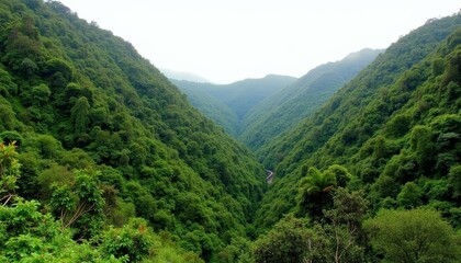 Wall Mural - Majestic Valley  A Journey Through the Heart of Nature