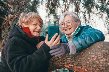 Wall Mural - Smiling couple of elderly women enjoying winter day in the park expressing happiness while share communication and good news on mobile phone