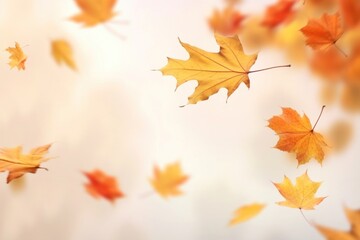 Wall Mural - Autumn leaves backgrounds maple plant.