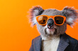 © Thierry C - Funky colorful Koala dressed in suit in funny look, with orange sunglasses and standing looking at the camera on an orange background like a studio shoot