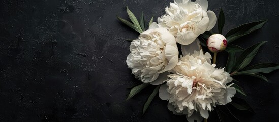 Poster - Fresh white peonies on a dark black background A condolence card Wedding date An invitation for a holiday Congratulations An empty area for text Top view He was lying flat. Copy space image