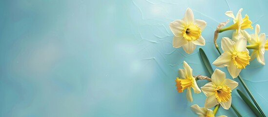 Canvas Print - Banner featuring yellow narcissus flowers on a blue pastel background with space for text. Copy space image. Place for adding text and design